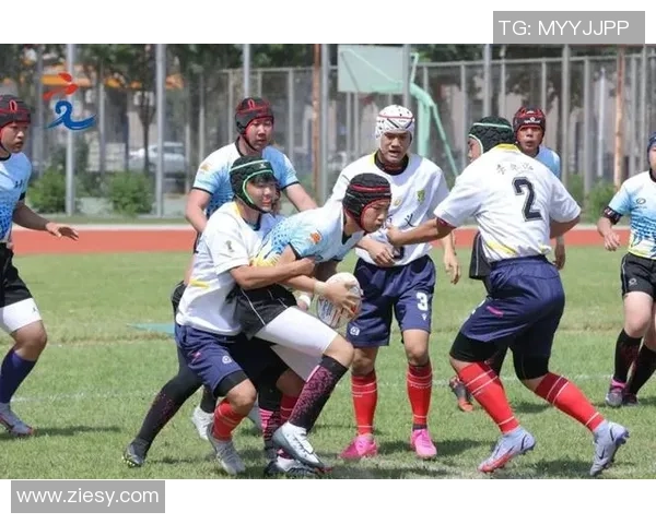 广州乒乓球队团队协作变革引发热议推动竞技水平提升与团结精神重塑